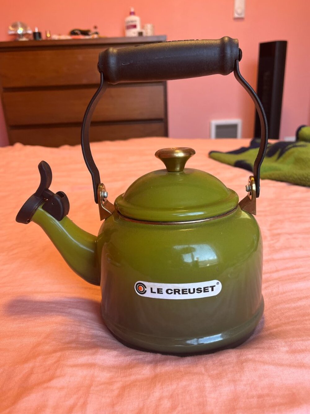 Le Creuset Tea Kettle in Olive